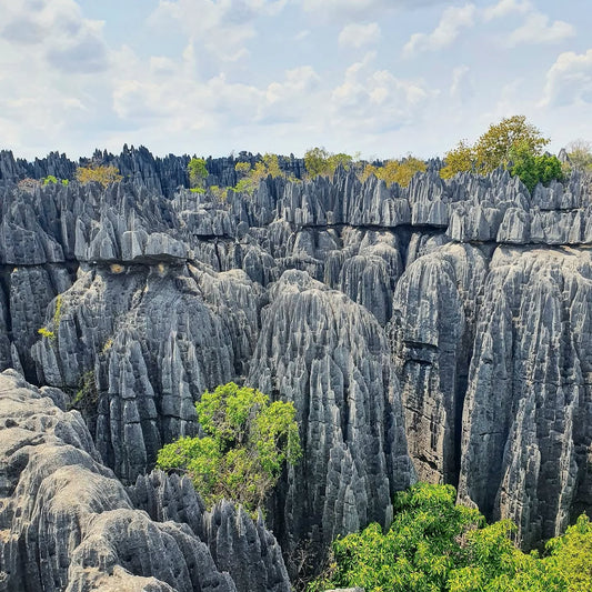 Les Tsingy de Bemaraha : un labyrinthe de pierre à couper le souffle